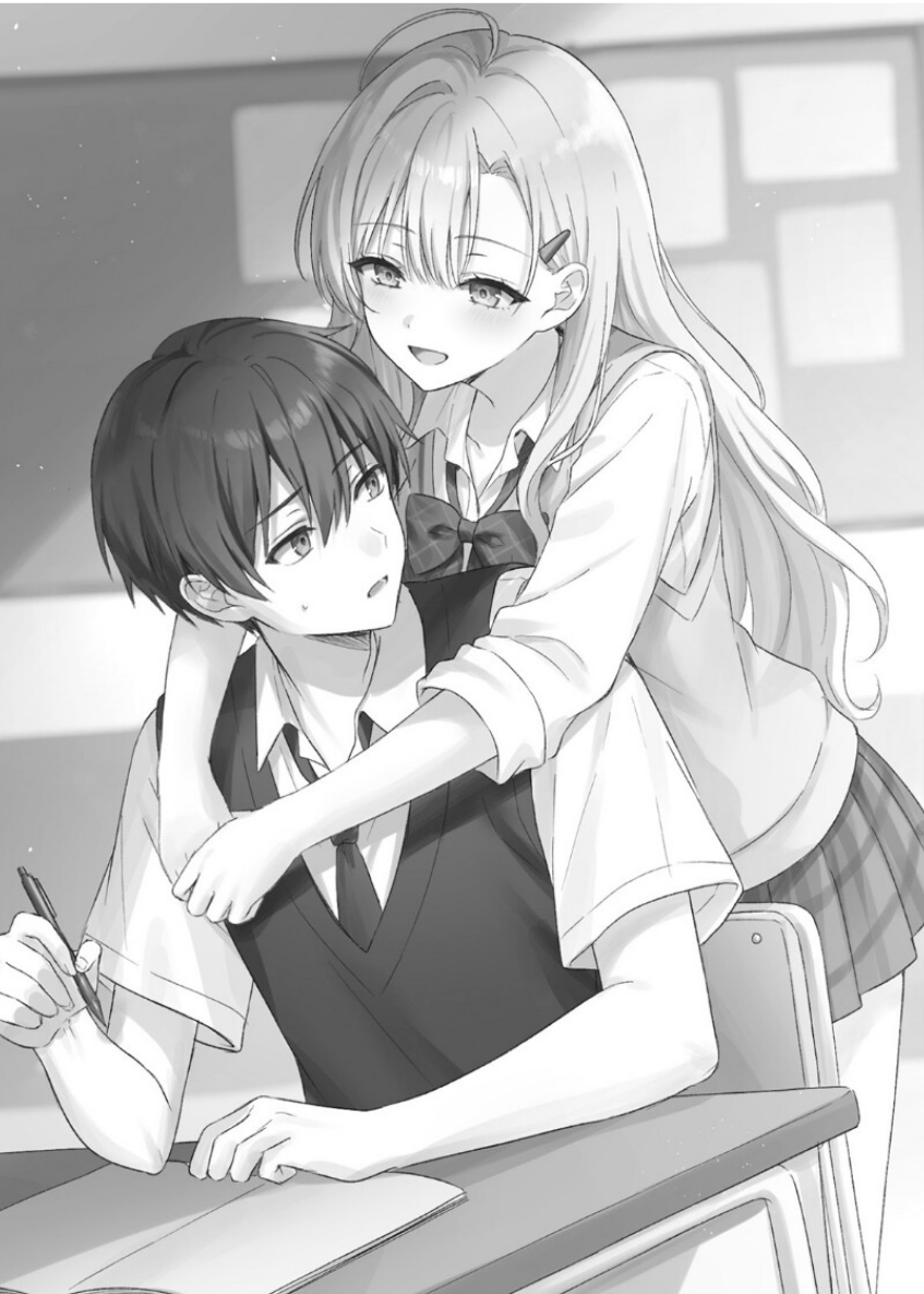 illustration 1