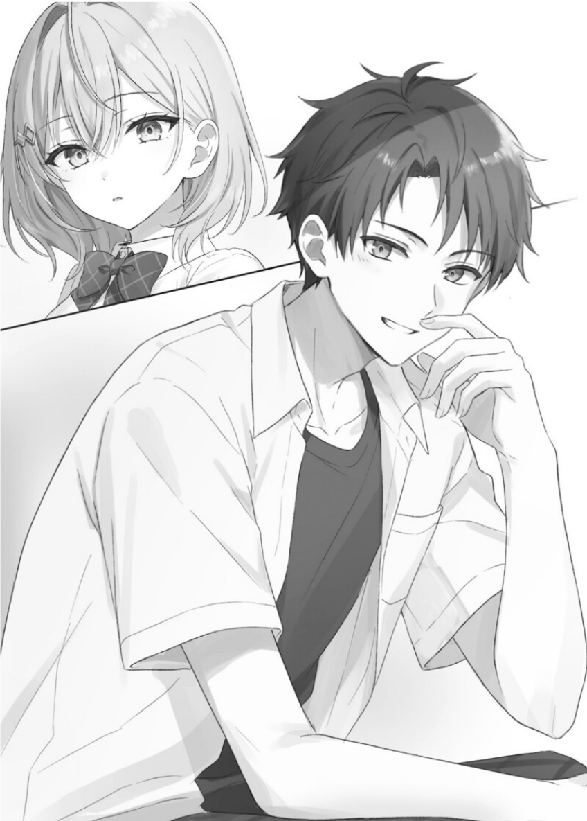 illustration 1