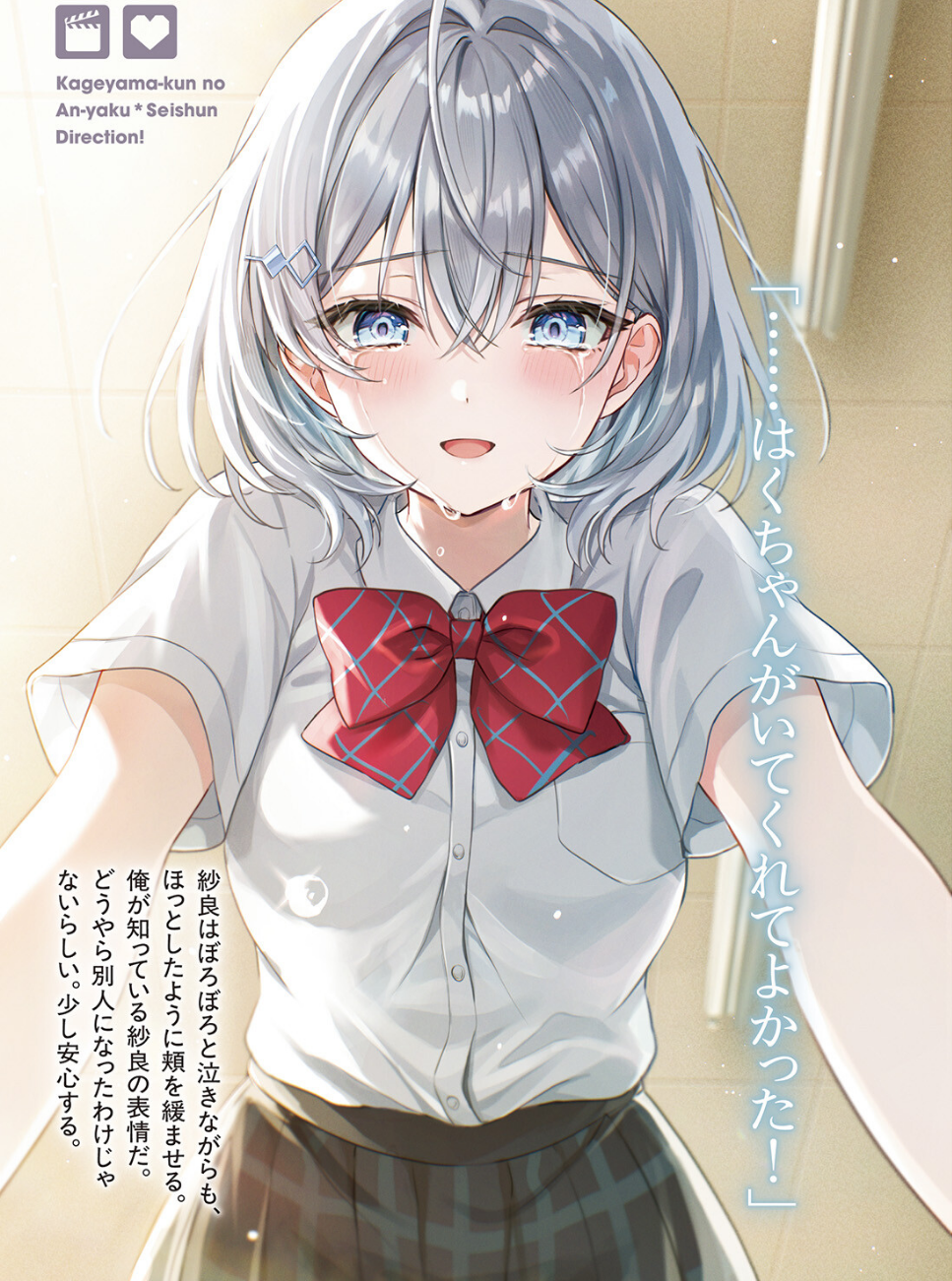 illustration 1
